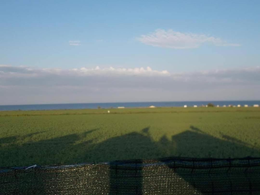 Mara Si Marea Hotell Năvodari Exteriör bild